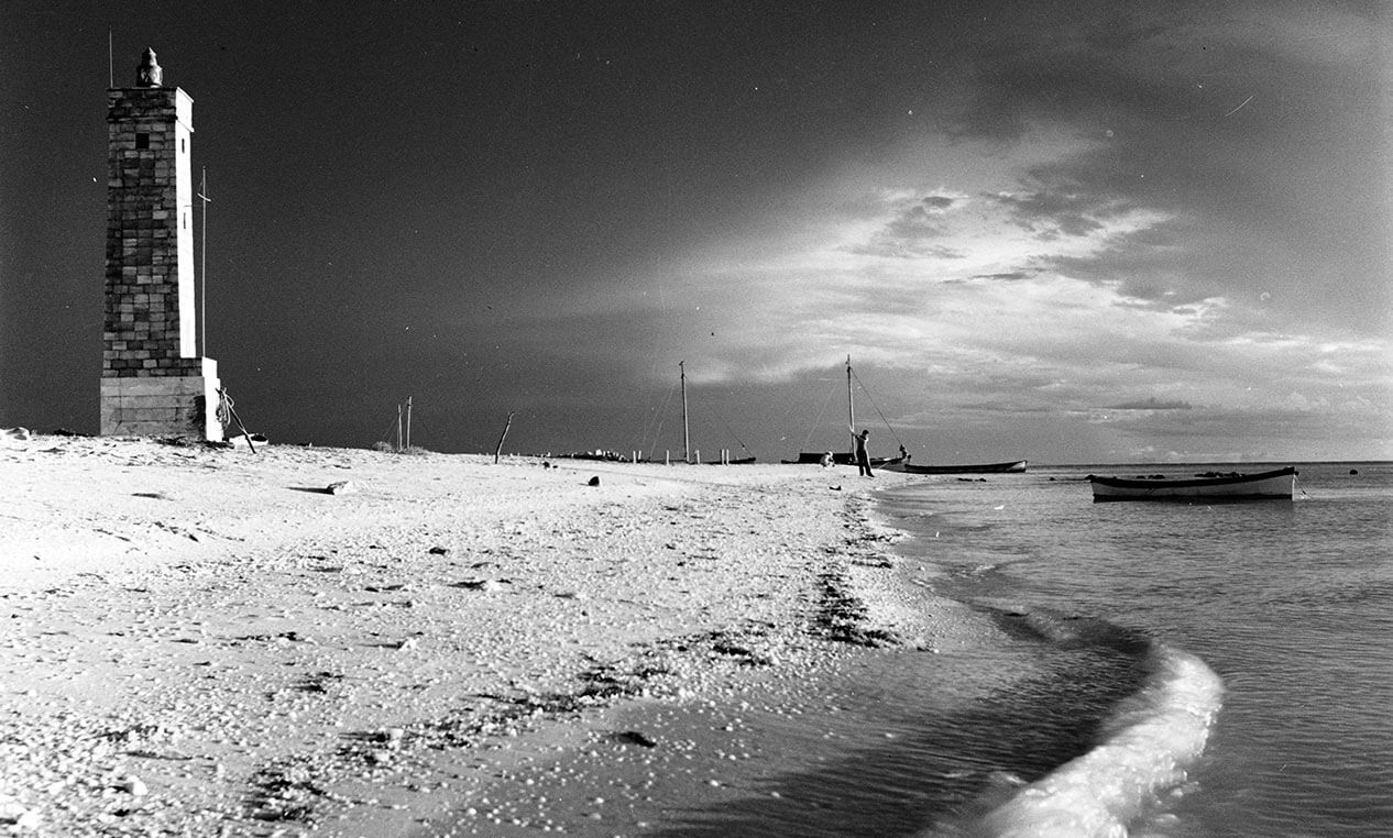 Exposición 'Armando Salas Portugal' | Banamex