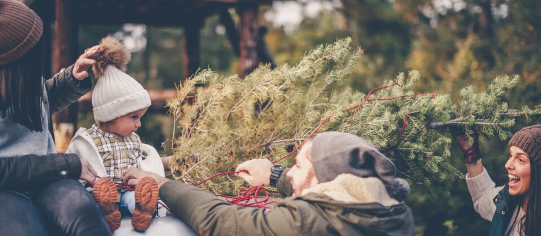 Familia preparando árbol navideño para viajar en auto durante vacaciones.