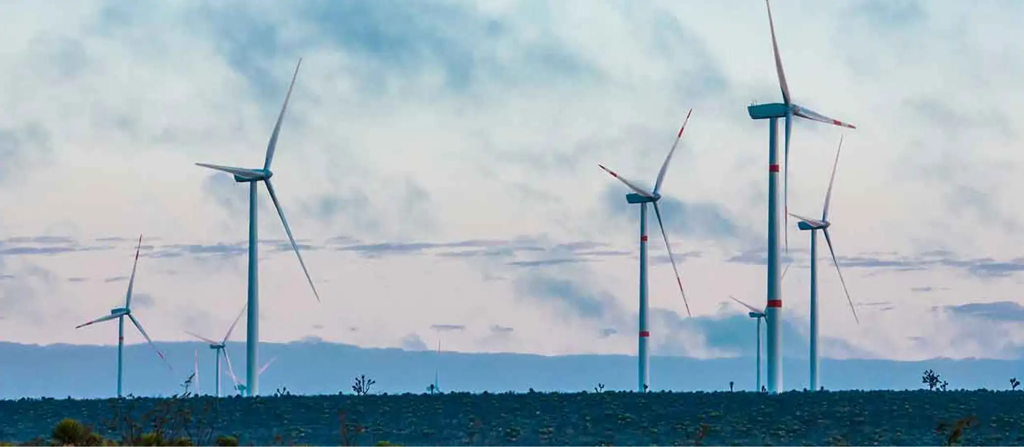 Aerogeneradores en una llanura con cielo nublado, energía eólica de la estrategia ASG de Banamex