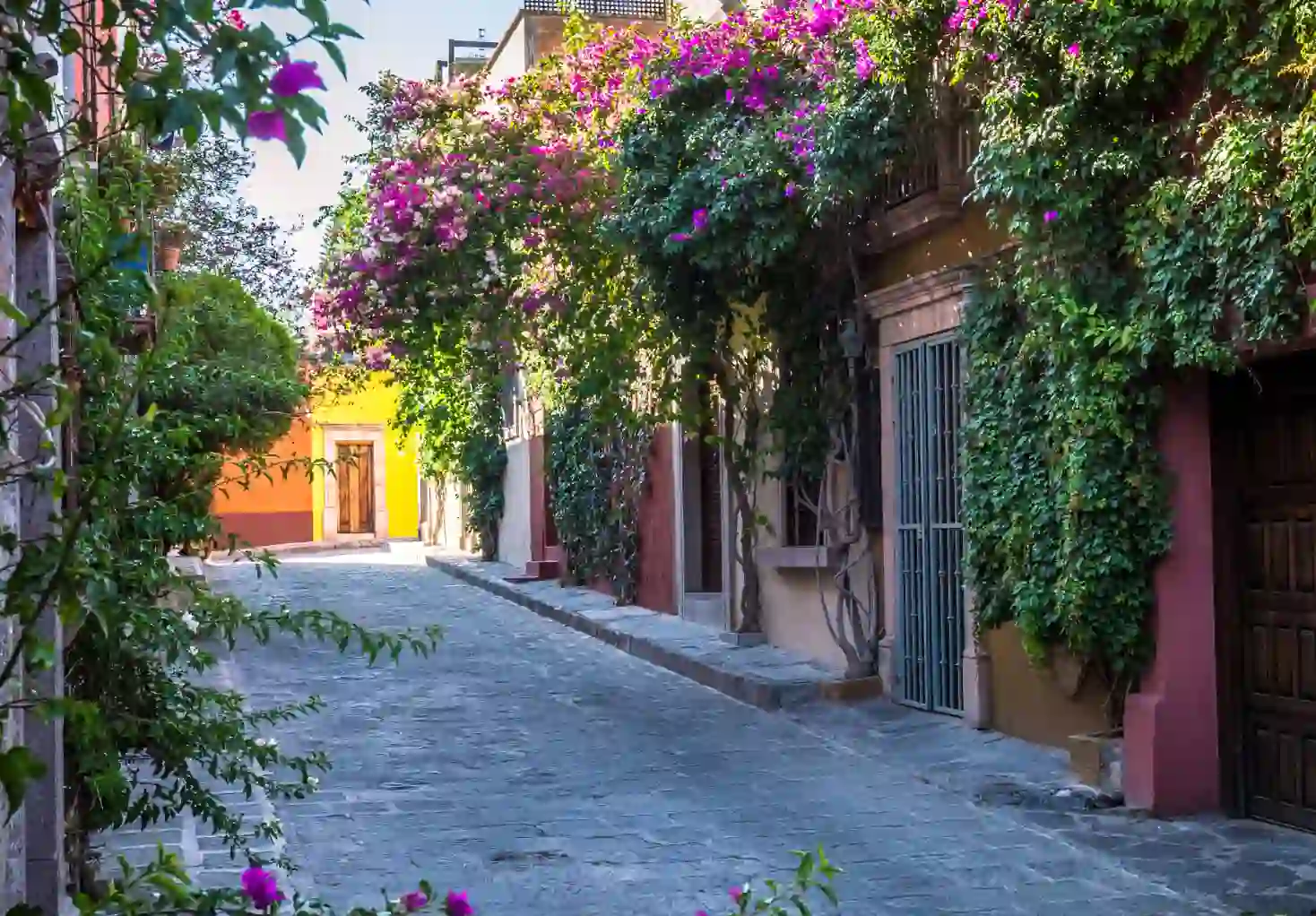 Calle adoquinada rodeada de fachadas con vegetación y bugambilias coloridas, destacando el entorno residencial y atractivo urbano.