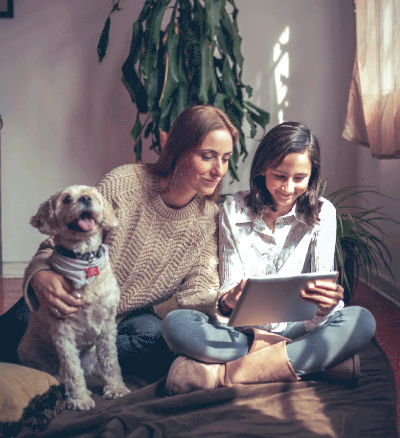 Persona y menor consultando contenido en una tableta junto a su mascota, compartiendo un momento de aprendizaje y convivencia en el hogar.