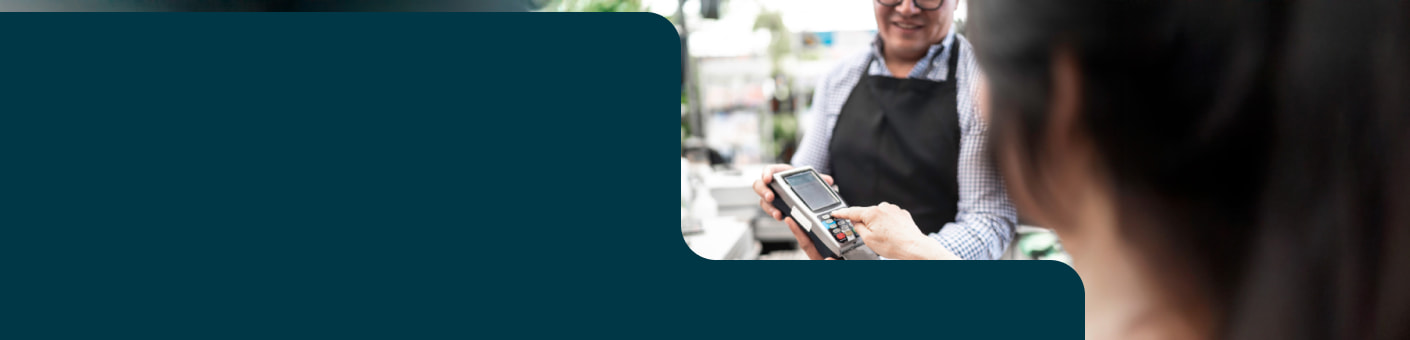 Terminales Punto de Venta