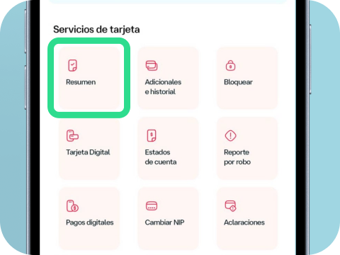 Ilustración de la app mostrando el botón de resumen.