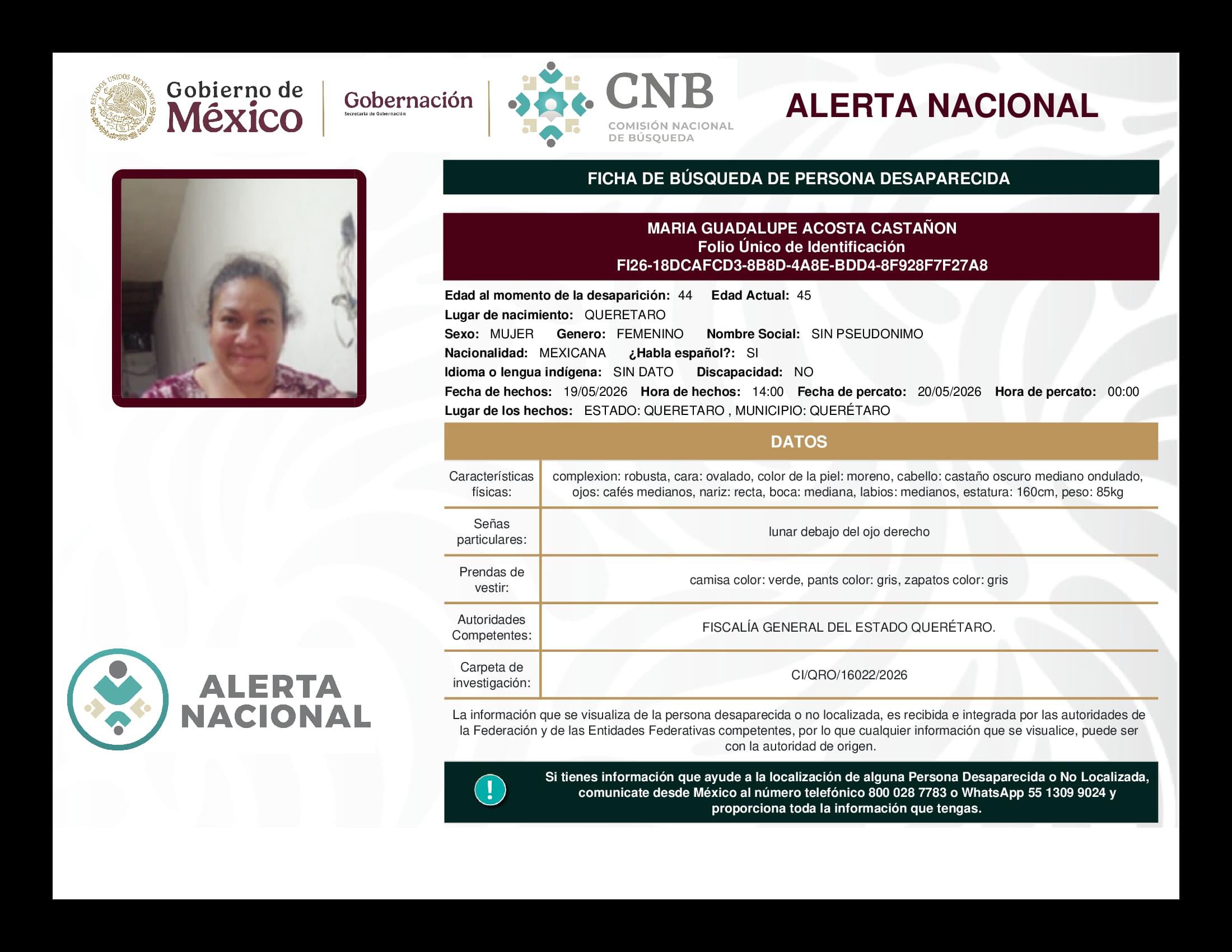 Persona desaparecida Maria Guadalupe Acosta Castanon
