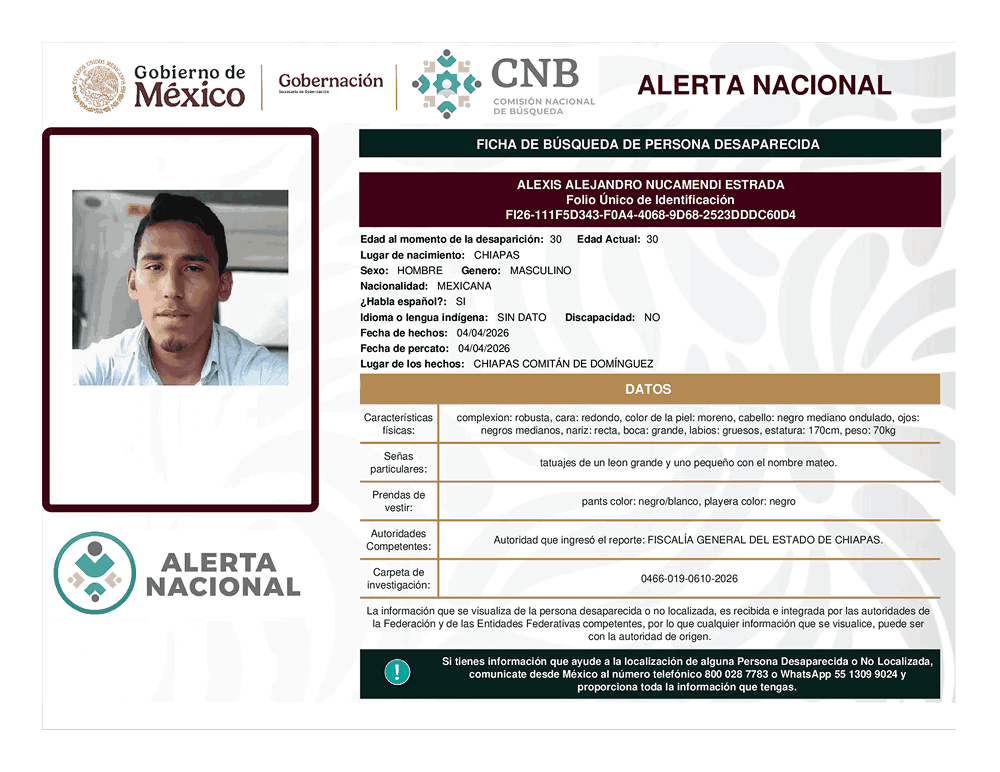 Persona desaparecida Alexis Alejandro Nucamendi Estrada