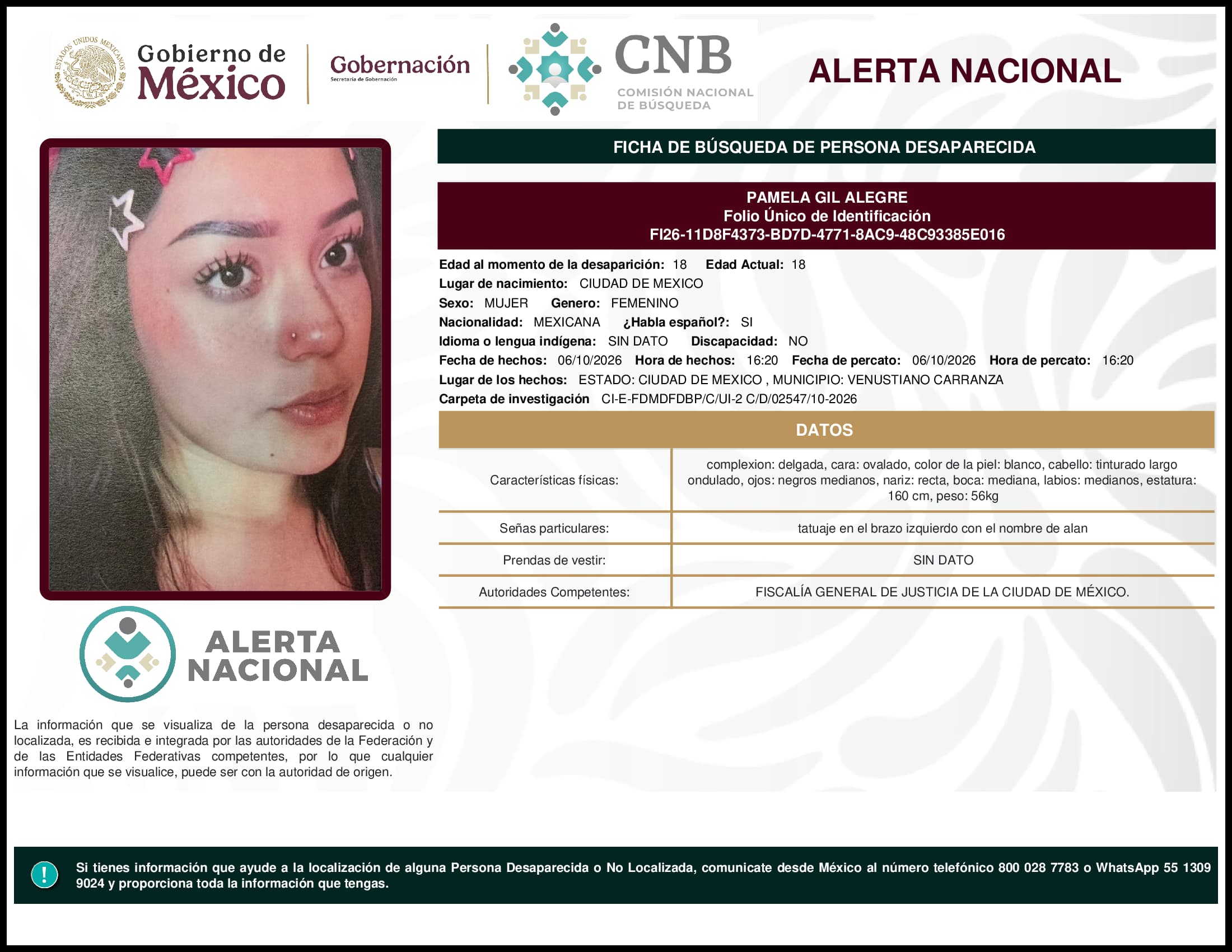 Persona desaparecida Pamela Gil Alegre
